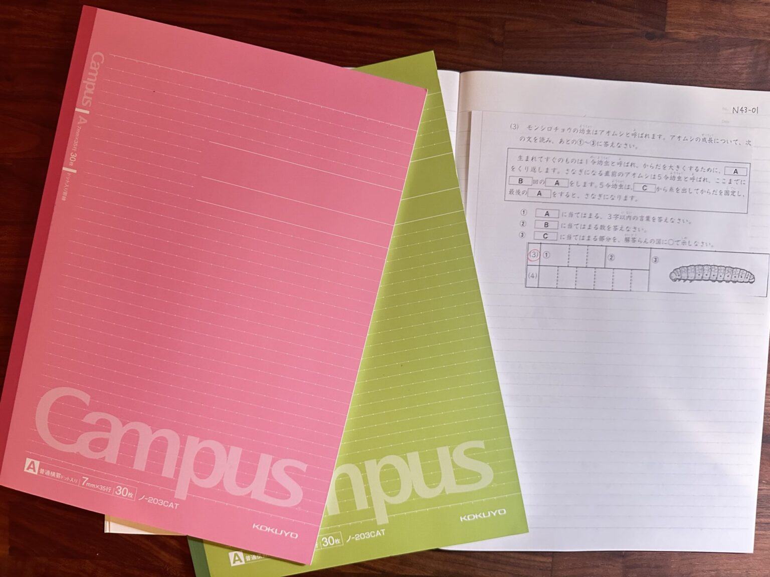 【スパイラル学習】学習のキモは復習にあり!復習ノートのすすめ | ももへいブログ