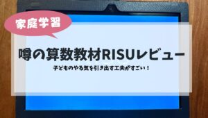 RISUレビュー
