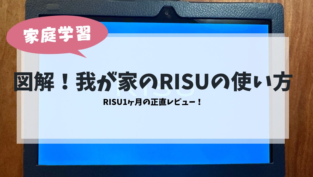 RISU図解解説！